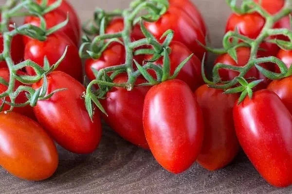 Roma Tomato Seeds - 120+ Heirloom Organic Non-GMO - Lycopersicon esculentum - Perfect for Sauces and Fresh Eating