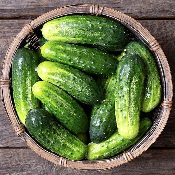 30 Non-GMO Cucumber Seeds | Arkansas Little Leaf Pickling Variety | Cucumis sativus for Garden Planting