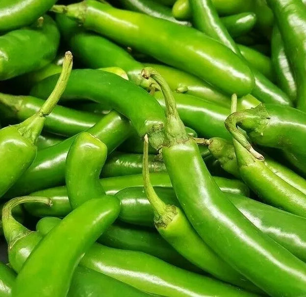 Serrano Pepper Seeds 50+ Pack Hot Spicy Culinary Capsicum annuum - Ideal for Salsa & Cooking