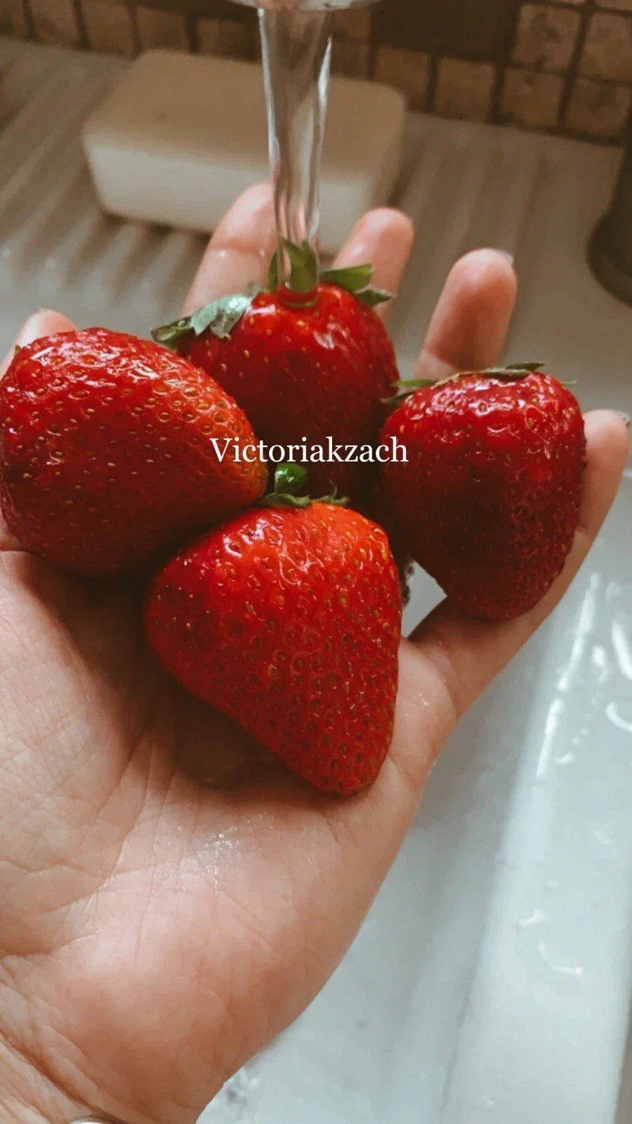 Organic Strawberry Seeds 100 Count Non-GMO Sweet Berry Fragaria × ananassa for Homegrown Edible Garden