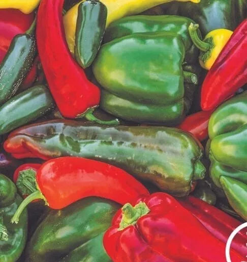 Sweet & Spicy Pepper Seeds - 25+ Variety Mix - Heirloom Non-GMO - Capsicum Annuum - Perfect for Home Garden & Container Gardening