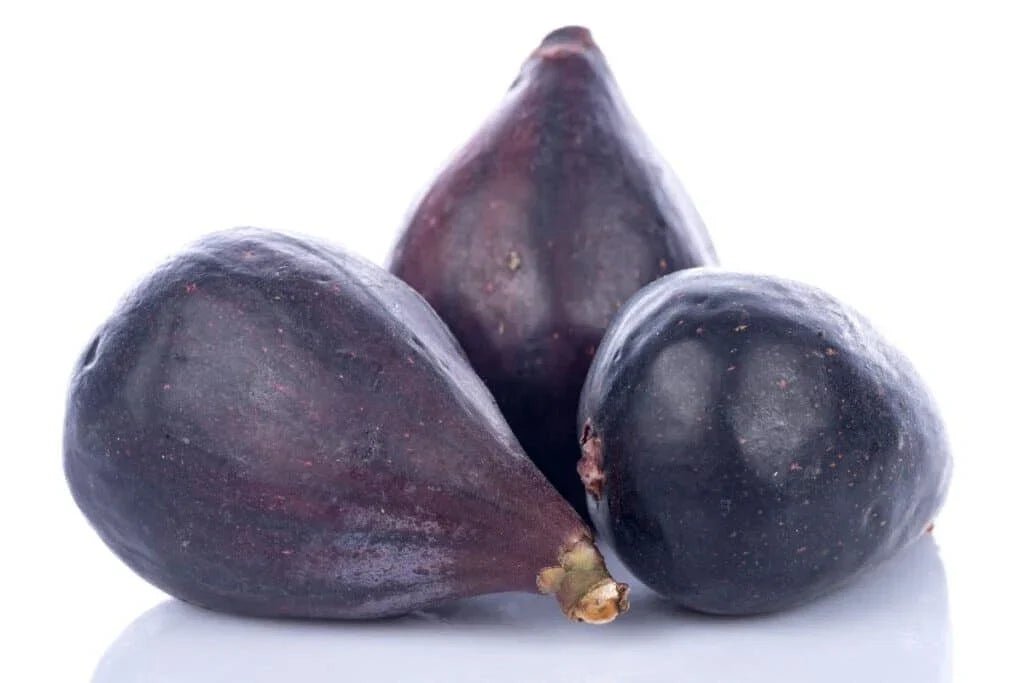 LSU Gold Fig Seeds - 100 Non-GMO Ficus carica for Home Gardening - Sweet Fruit Variety