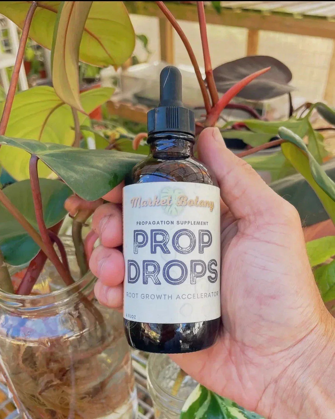 Propagation Plant Drops | 2 oz Liquid Solution | Promote Healthy Root Growth | Indoor Gardening Essentials