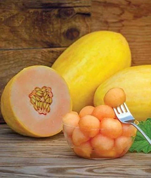 Mango Seeds - 50 Count - Tropical Fruit - Mangifera indica - Non-GMO, Made in USA, Ships from Iowa