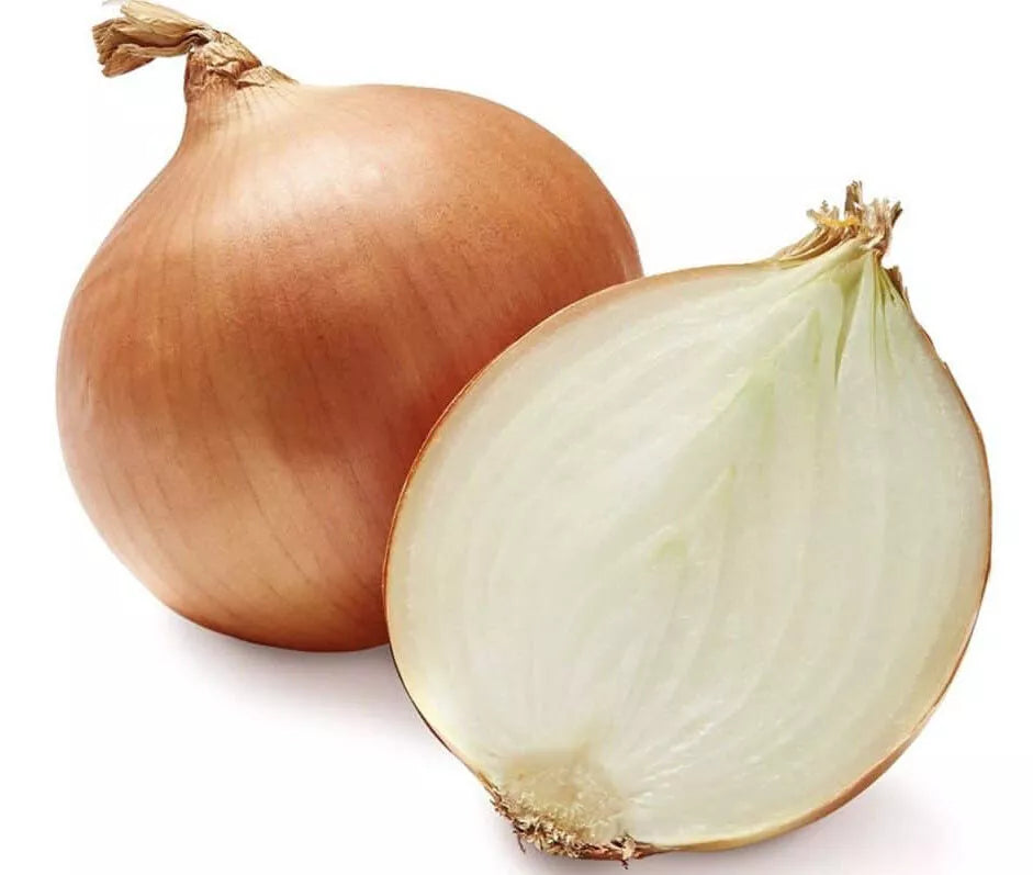 Walla Walla Onion Seeds - 100+ Heirloom Seeds - Sweet Flavor - Allium cepa - USA Grown for Tasting Garden
