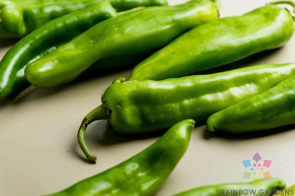 Hatch Chile Hot Pepper Seeds - 25+ Pack - Capsicum annuum - USA Variety for Home Garden Planting