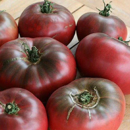 Cherokee Purple Tomato Seeds | Heirloom Non-GMO | Solanum lycopersicum | Packet of 20 Seeds for Juicy Beefsteak Tomatoes