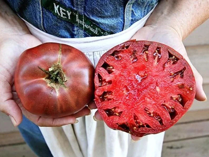 Cherokee Purple Tomato Seeds - 30+ Heirloom Non-GMO Seeds - Solanum lycopersicum - Organic Gardening Supplies