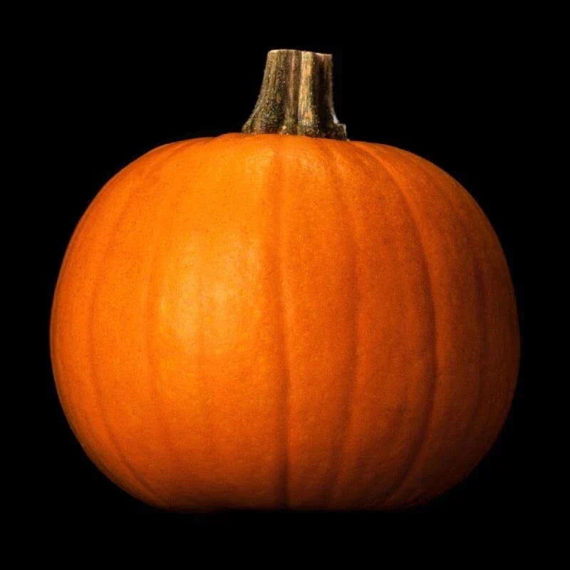 Spooky Pumpkin Seeds 20 Pack - Non-GMO Heirloom Organic - Cucurbita pepo - Perfect for Halloween Decorating and Cooking
