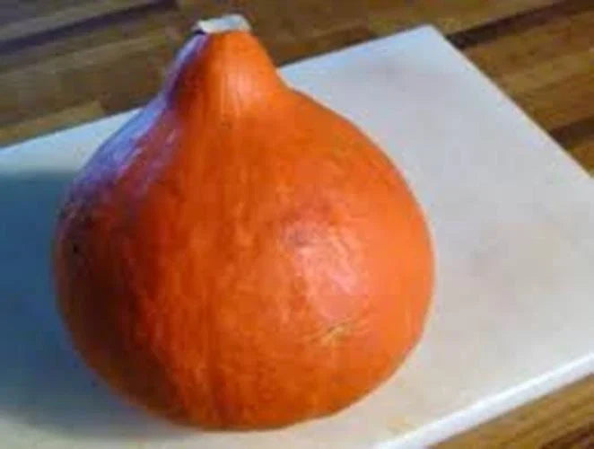 Red Kuri Hokkaido Squash Seeds - 25 Count - Japanese Heirloom - Cucurbita maxima - Nutty Flavor, Vibrant Orange Skin
