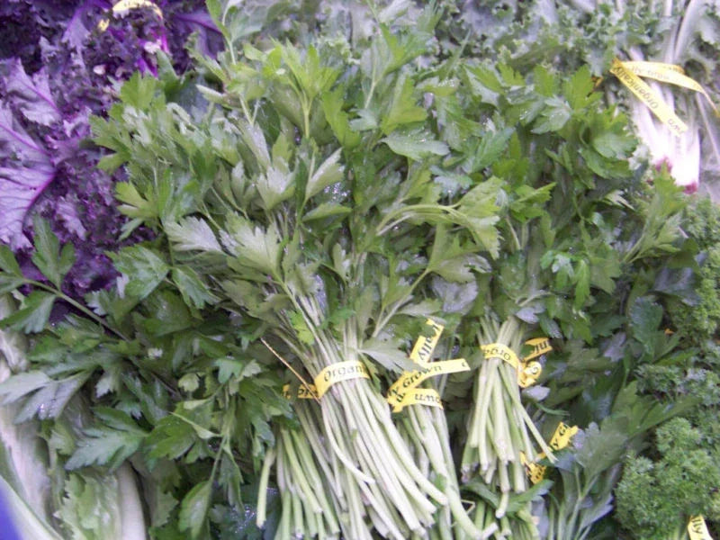940 Seeds Parsley Herb - Gourmet Culinary Petroselinum crispum - Non-GMO Heirloom - Ideal for Indoor/Outdoor Gardening