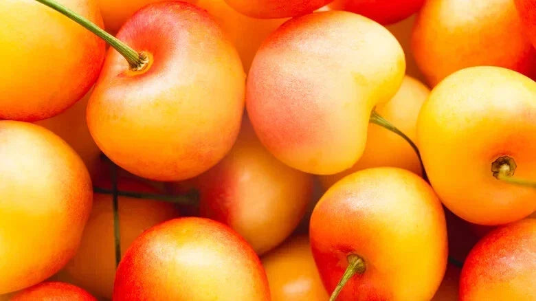 Rainier Cherry Seeds - 10+ Pack - Sweet Cherry Variety - Prunus avium - Non-GMO for Home Garden Planting