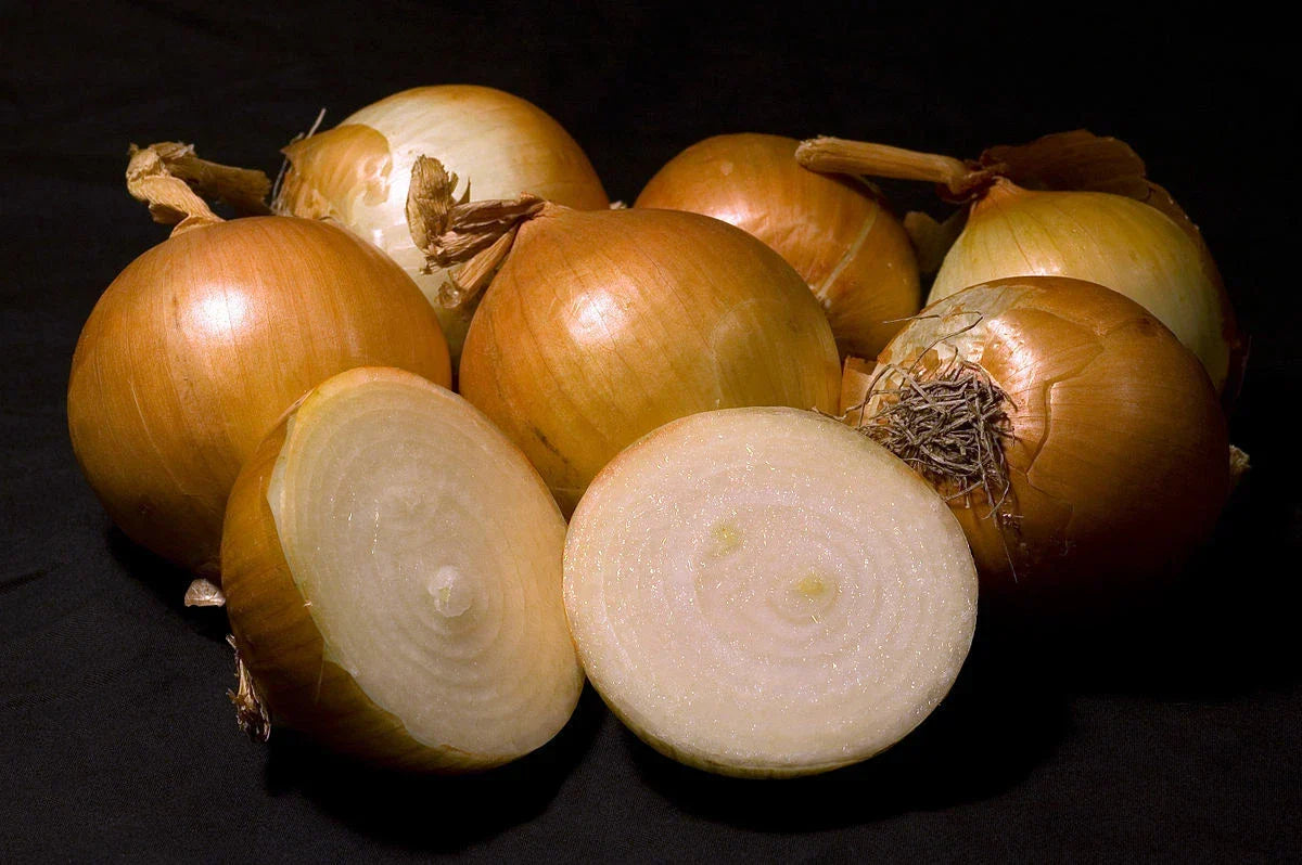 Walla Walla Sweet Onion Seeds - 1000 Heirloom Non-GMO Seeds - Allium cepa - Perfect for Home Gardens and Culinary Uses