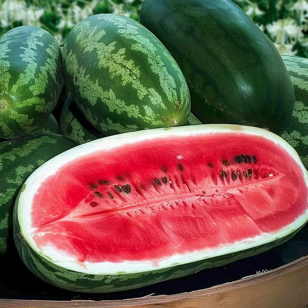 Congo Watermelon Seeds - 12 Pack - Non-GMO Organic Heirloom - Citrullus lanatus - Sweet Flavor for Home Garden