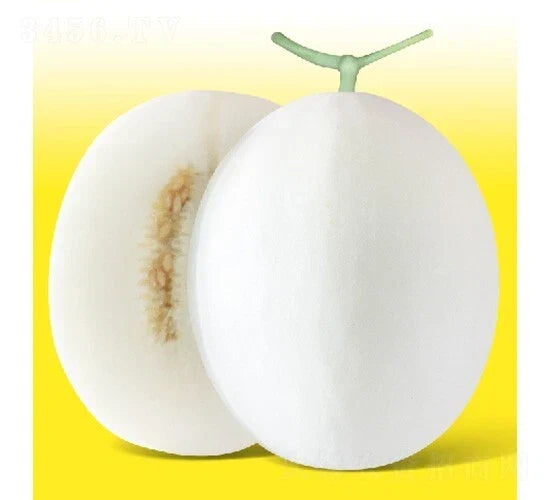 20PCS White Jade Muskmelon Seeds - Sugar Jar Melon - Cucumis melo - Delicious Fruit for Home Gardens and Containers