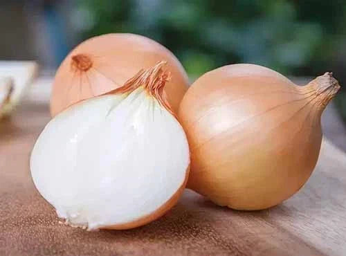 Yellow Granex Onion Seeds - 500+ Count - Non-GMO - Allium cepa - USA Grown - Perfect for Garden Planting