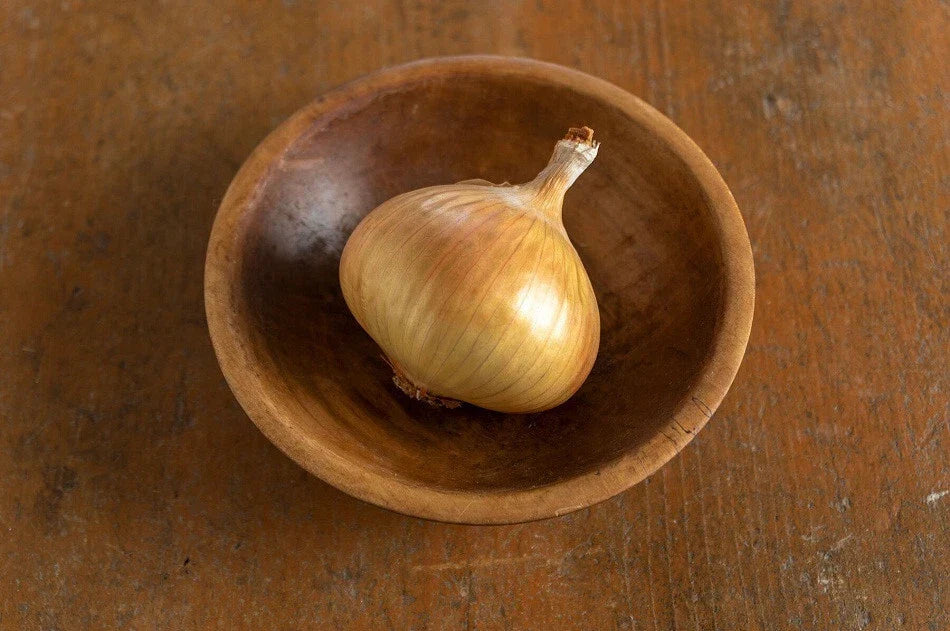 Walla Walla Sweet Onion Seeds - 500+ Non-GMO Garden Seeds - Allium cepa - USA Grown for Home Gardening