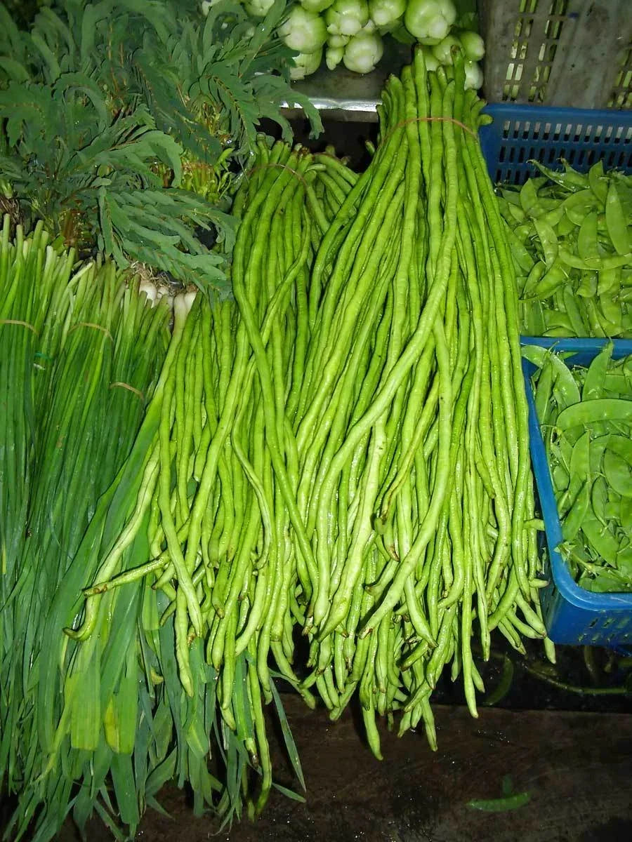 Yard Long Beans Seeds - 15 Pack Green Pole Type - Vigna unguiculata subsp. sesquipedalis - USA Made Gardening Seeds