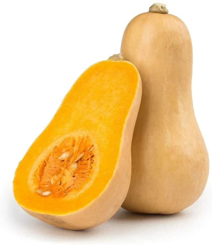 Butternut Squash Seeds - 25 Count - Winter Variety - Cucurbita moschata for Home Gardens and Cooking