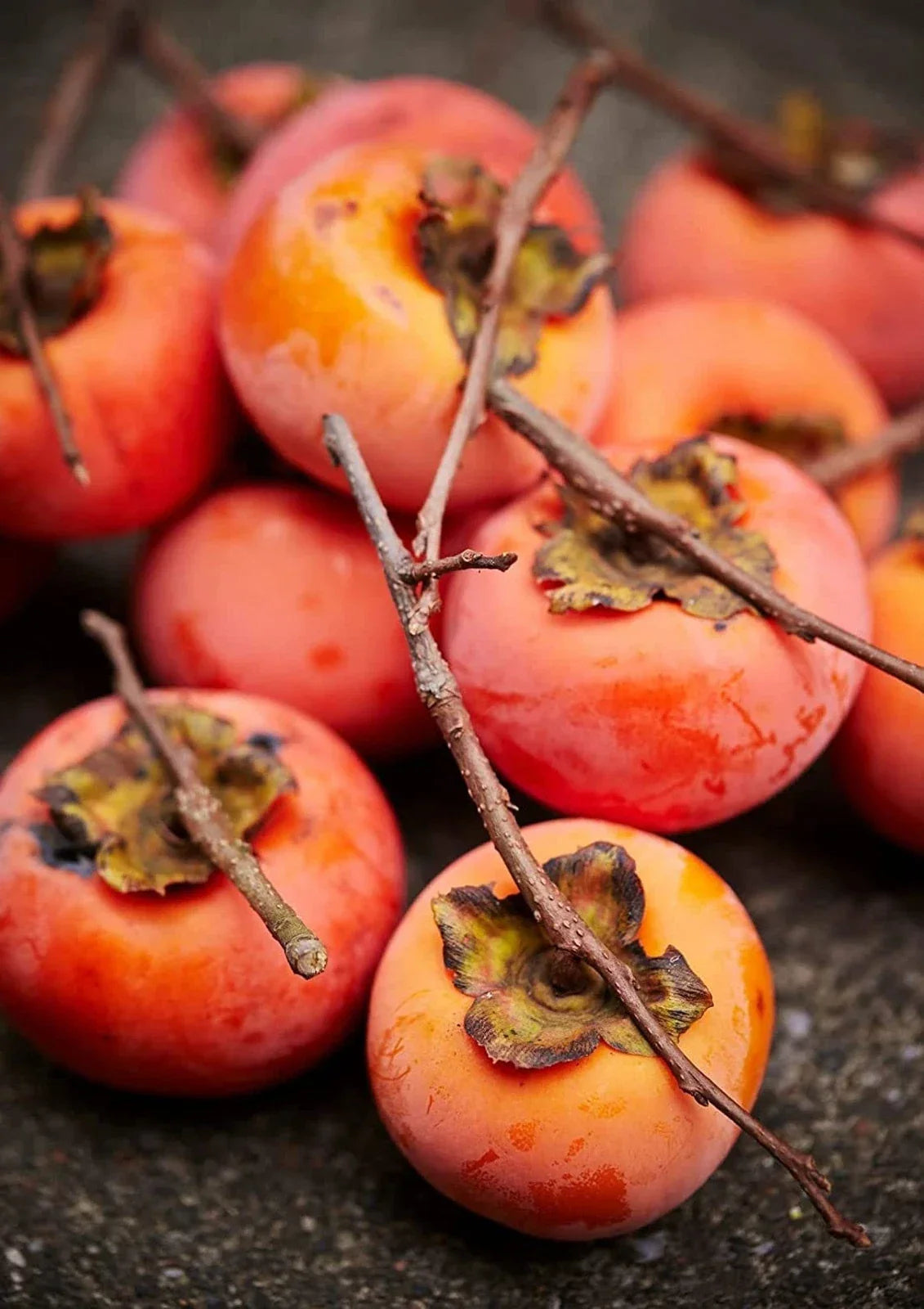 Persimmon Tree Seeds - 50 Seeds - Diospyros virginiana - Outdoor Variety - Made in USA, Ships from Iowa