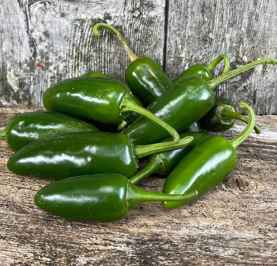 Jalapeno Pepper Seeds - 20 Heirloom Non-GMO Early Variety - Capsicum annuum - Spicy Chiles for Home Gardening