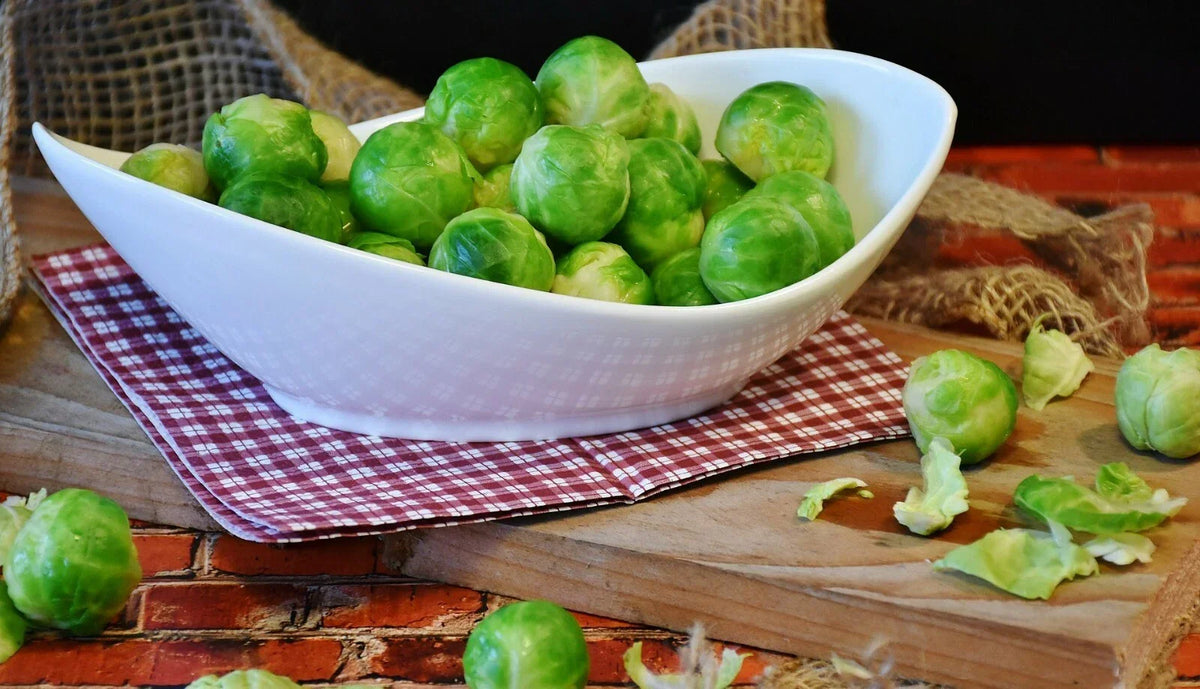 Brussels Sprout Seeds - 250+ Heirloom Long Island Improved - Brassica oleracea - Home Gardening Vegetable Seeds