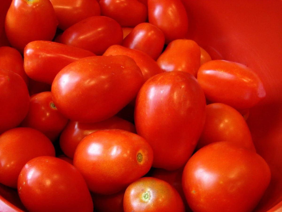 Roma Tomato Seeds - Heirloom, NON-GMO, Various Sizes, Solanum lycopersicum - Ideal for Sauces and Canning