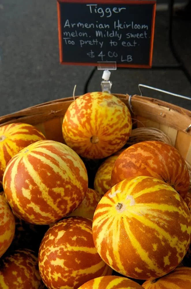 Tiger Melon Seeds | 10 Rare Seeds | Exotic Fruit for Gardening | Cucumis melo var. reticulatus