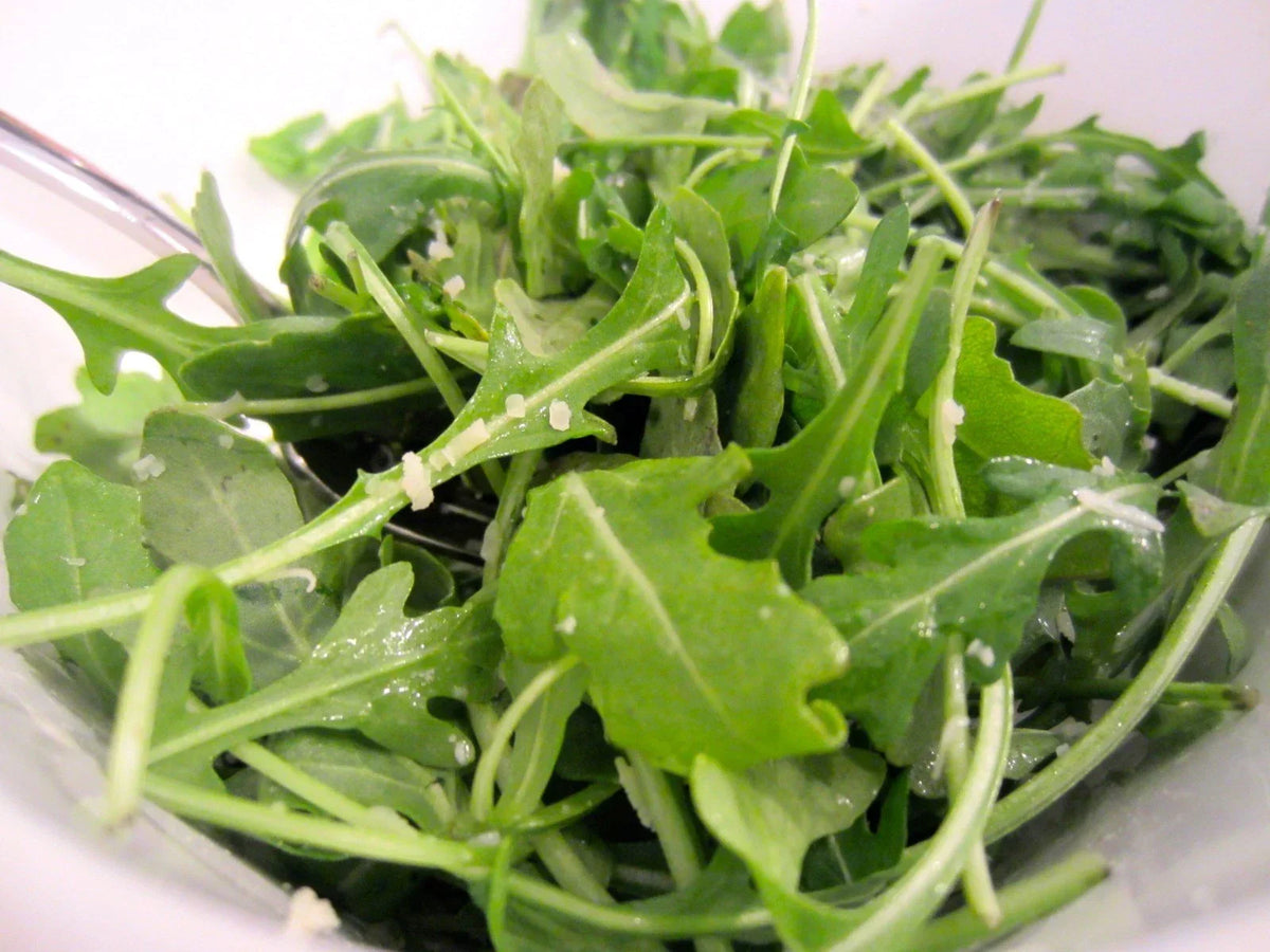 Organic Arugula Seeds 601+ Roquette for Spring & Fall Garden, Patio Containers - Eruca sativa