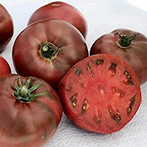 Carbon Black Variety Seeds - 25 Seeds - High-Quality Heirloom Seeds - Perfect for Home Gardens - Excellent Yield