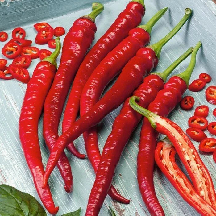 Cayenne Hot Pepper Seeds - 200+ Organic Heirloom Long Slim Variety - Capsicum annuum - Non-GMO for Spicy Home Gardens