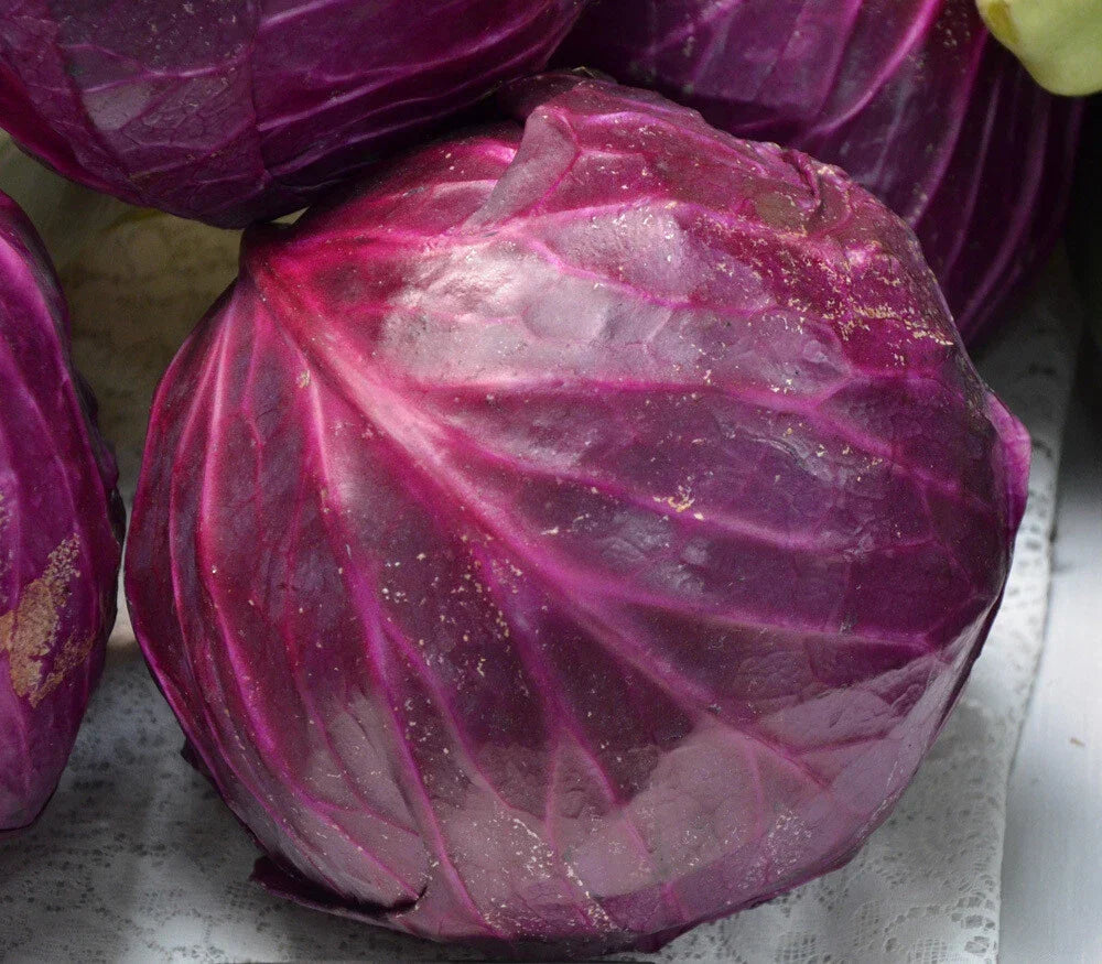 Red Acre Cabbage Seeds, Non-GMO, Coleslaw Variety, Brassica oleracea - Multiple Sizes Available for Easy Gardening