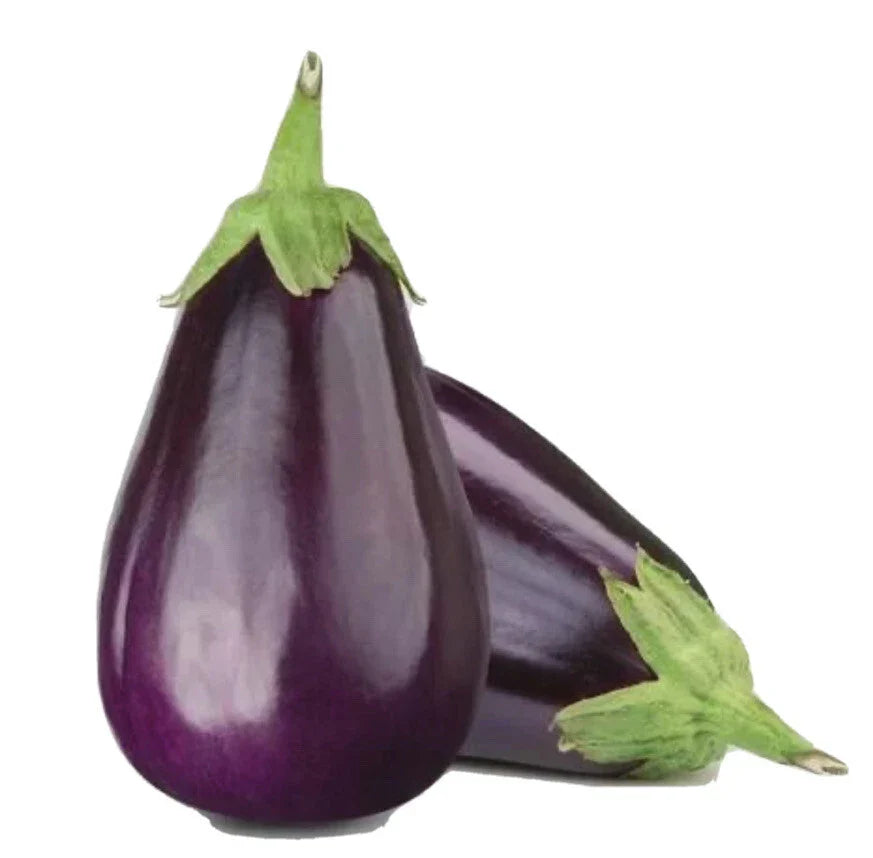 Black Beauty Eggplant Seeds - 200 Non-GMO Heirloom Seeds - Solanum melongena - Open Pollinated Vegetable Gardening