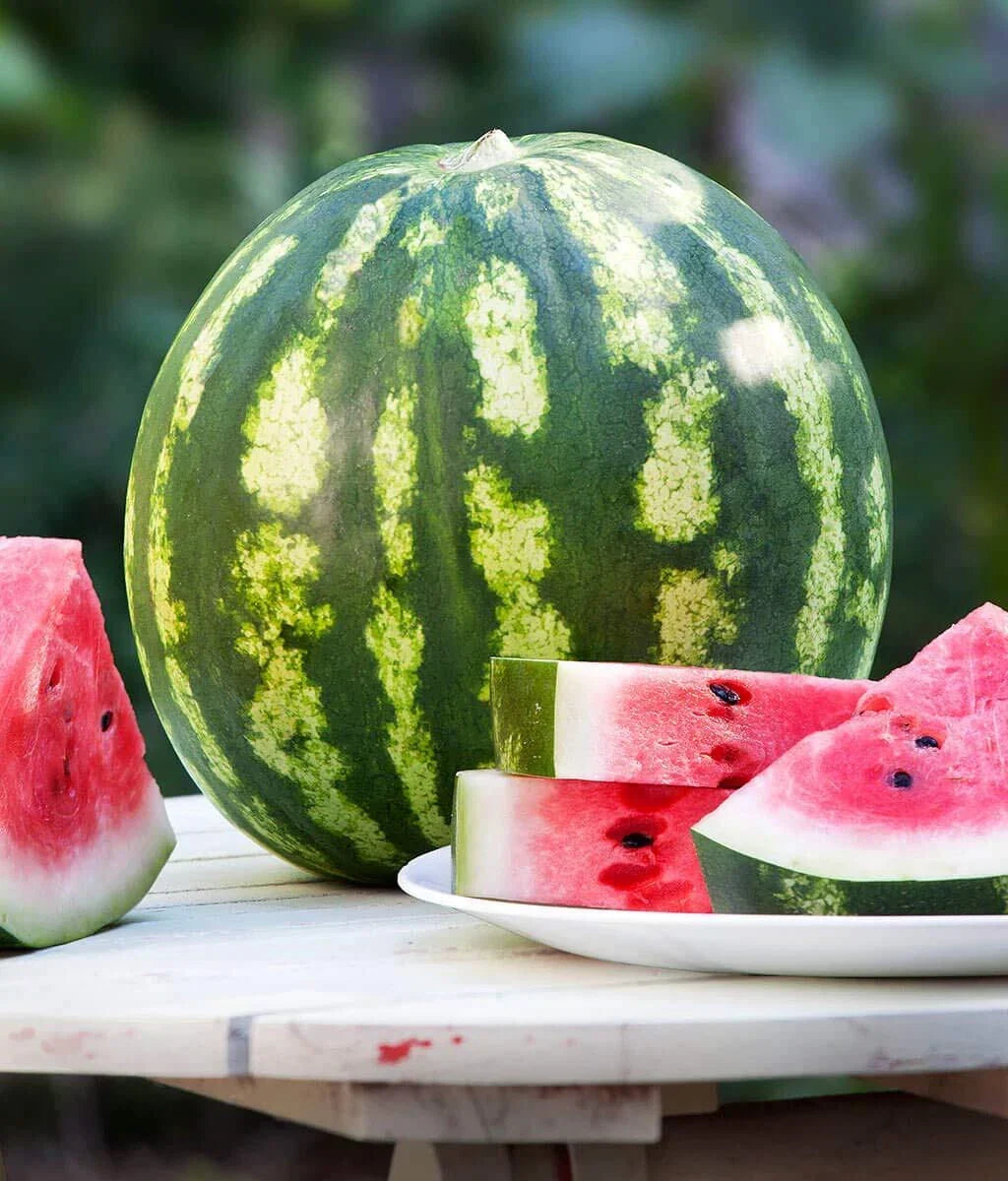 Crimson Watermelon Seeds - 30+ Heirloom Seeds - Citrullus lanatus - USA Grown, Ships from Iowa - Sweet Garden Planting