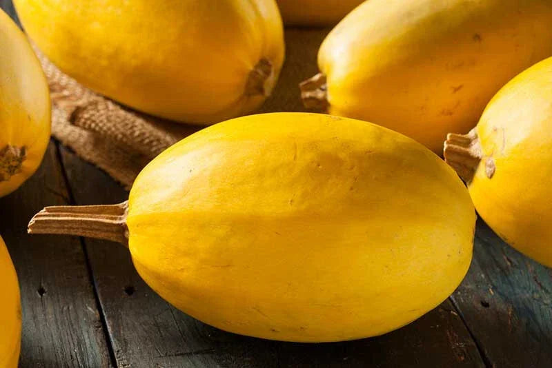 Spaghetti Squash Seeds - 25+ Pack - Non-GMO Heirloom - Cucurbita Pepo - USA Grown for Home Garden Planting
