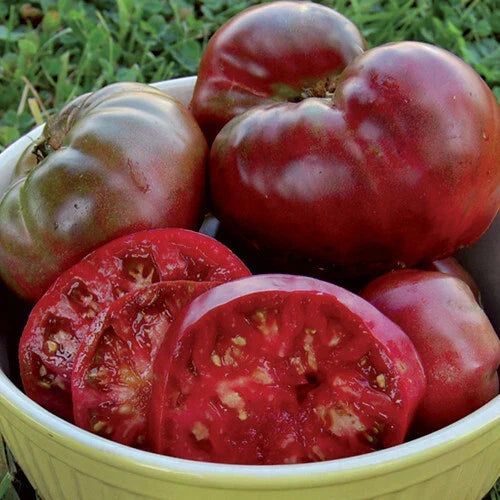 Black Krim Tomato Seeds | Heirloom Non-GMO | Solanum lycopersicum | 20 Seeds for Home Gardening