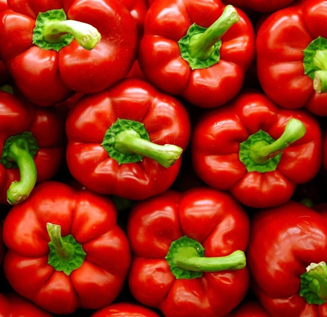 Big Red Bell Pepper Seeds - 50+ Non-GMO Capsicum annuum for Garden - Sweet Crunchy Vegetable Seeds