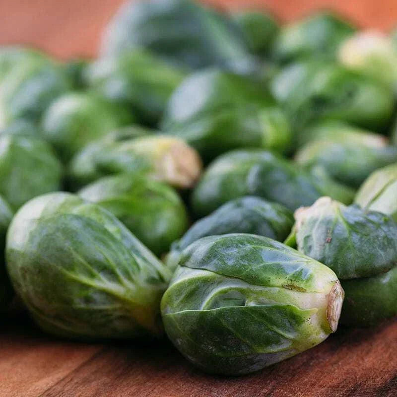 Brussels Sprouts Seeds - Catskill Variety - NON-GMO - Brassica oleracea - Seed Packet for Home Gardening