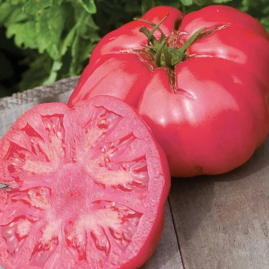 Beefsteak Pink Tomato Seeds - 25 Premium Heirloom Seeds - Solanum lycopersicum - Non-GMO, High Germination Rate