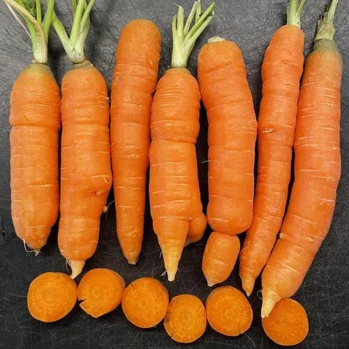 Mokum Carrot Seeds - 1000+ Non-GMO Heirloom Seeds for Garden Planting - Daucus carota - USA Grown