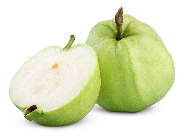 Apple Guava Seeds - 50+ Non-GMO Seeds for Garden Planting - Psidium guajava - USA Grown, Fast Germination, Free Shipping