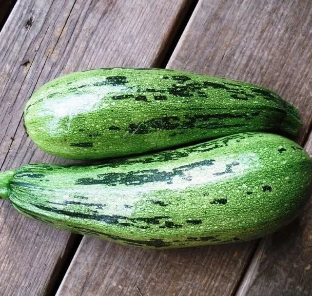 Caserta Squash Seeds - 10 Heirloom Seeds for Planting - Cucurbita pepo - High-Yielding, Easy to Grow, Delicious Variety