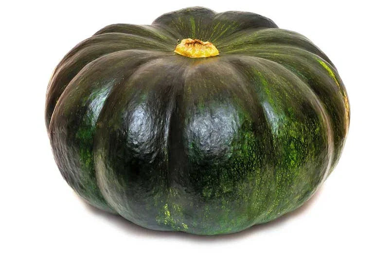 Cupcake Squash Seeds - 25+ Pack - Heirloom Cucurbita pepo - USA Grown, Non-GMO for Home Gardening