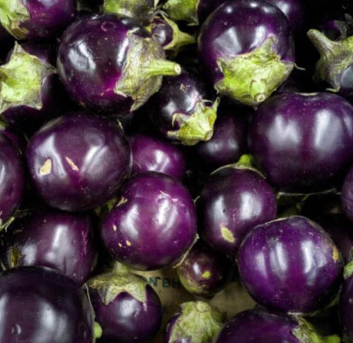 Round Purple Eggplant Seeds - 50+ Heirloom Seeds - Thai/Indian Variety - Solanum melongena - Non-GMO, Easy to Grow