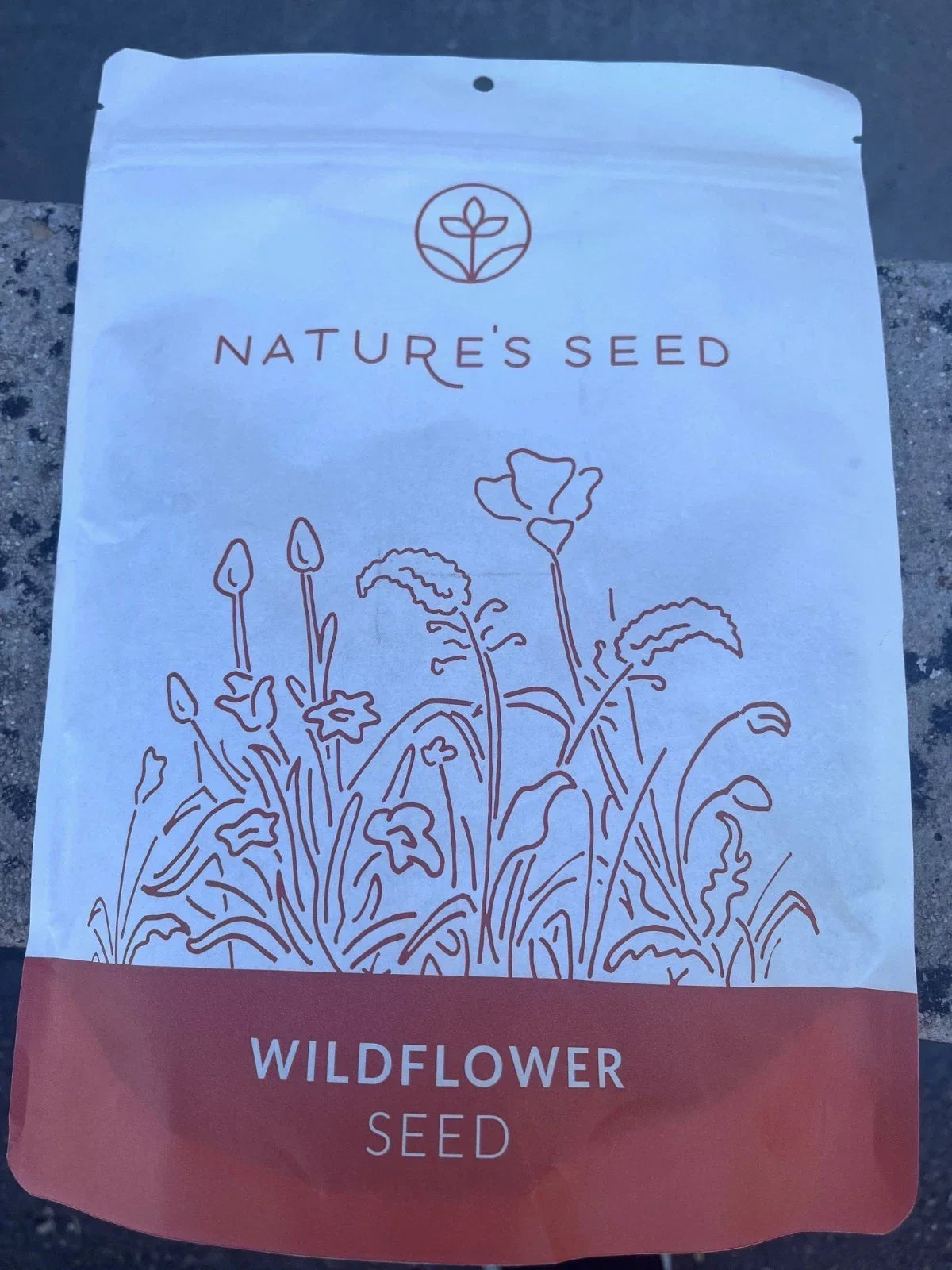 Northeast Wildflower Seeds 0.5 lbs - Native Pollinator Mix for Gardens - Various Species - Non-GMO, Easy to Grow