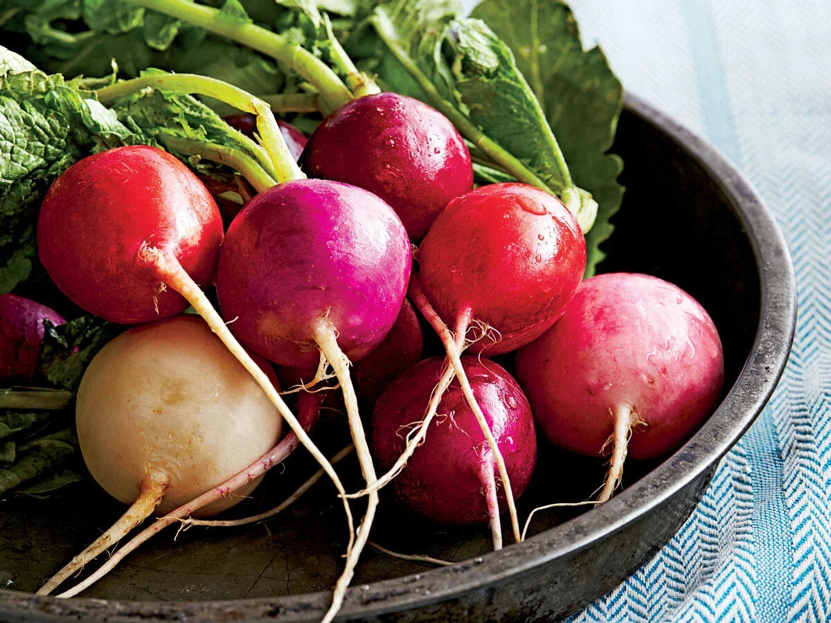 Easter Egg Radish Seeds - Non-GMO, Fast Harvest Mix, Raphanus sativus, Colorful Variety for Easy Gardening
