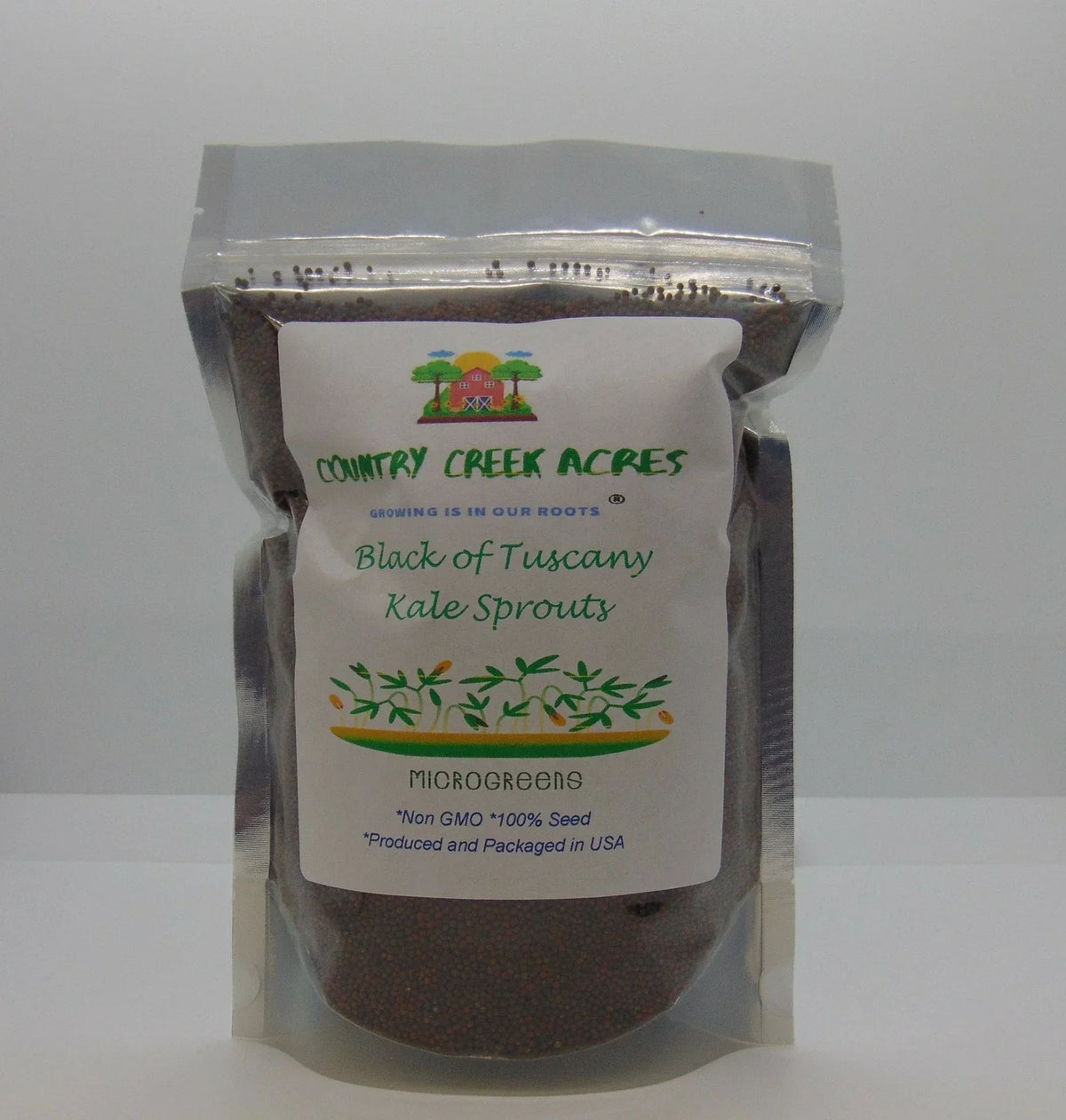 Black of Tuscany Kale Seeds - Heirloom Italian Variety - Brassica oleracea - Non-GMO, Nutrient-Rich Greens for Home Gardening