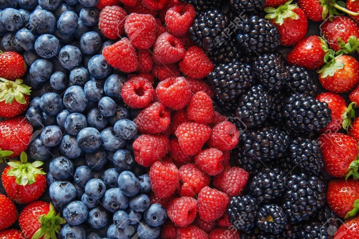 Berry Seed Set - Strawberry, Blueberry, Blackberry, Raspberry - Seed Packets for Home Gardening - Fragaria, Vaccinium, Rubus