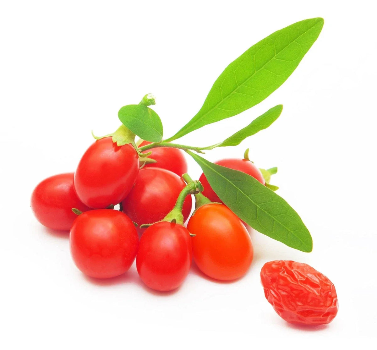 Goji Berry Seeds - 100+ Seeds - Lycium barbarum - Grow Your Own Superfood - Exotic Fruit Plant