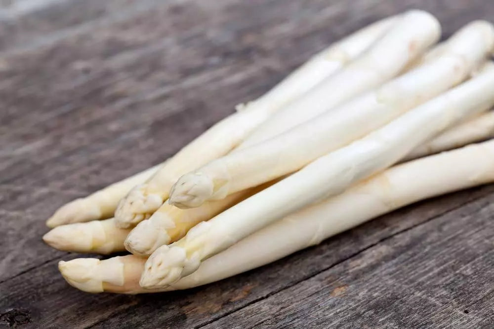 White Asparagus Seeds - 100+ Rare Exotic Seeds - Asparagus officinalis - Gourmet Garden Vegetable